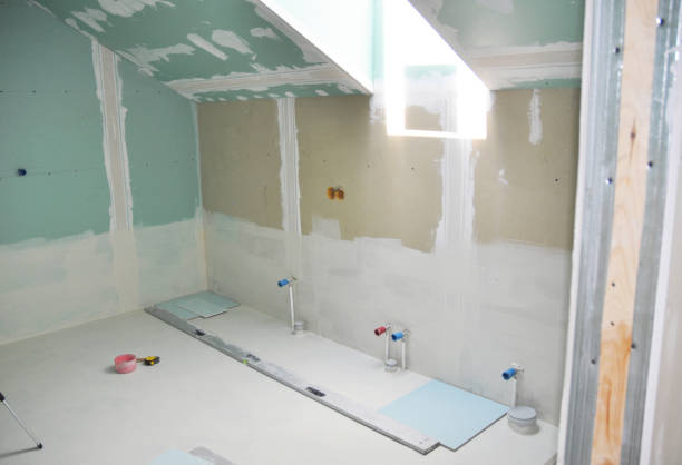 Best Dehumidification Services  in Forest Lake, MN