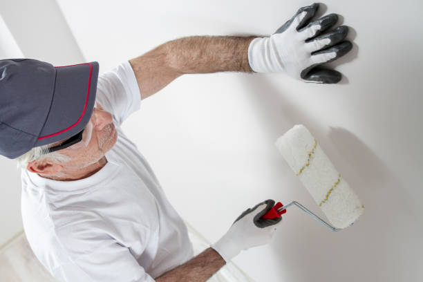 Best Black Mold Removal  in Forest Lake, MN