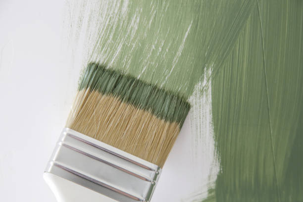 Mold Remediation for Rental Properties in Forest Lake, MN