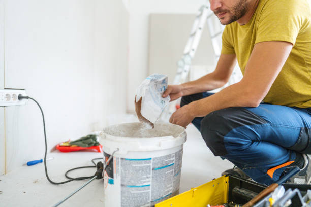 Best Mold Damage Restoration  in Forest Lake, MN