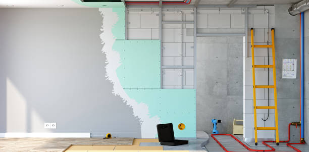 Reliable Forest Lake, MN Mold Removal Solutions