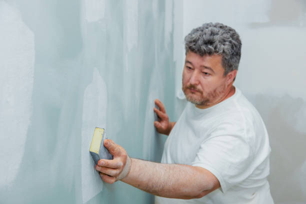 Best Mold Documentation for Insurance Claims  in Forest Lake, MN