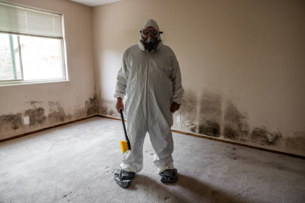 Best Commercial Mold Inspection  in Forest Lake, MN