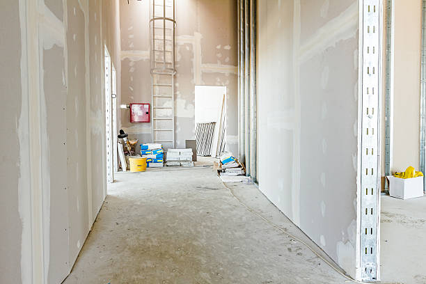 Best Post-Construction Mold Inspection  in Forest Lake, MN